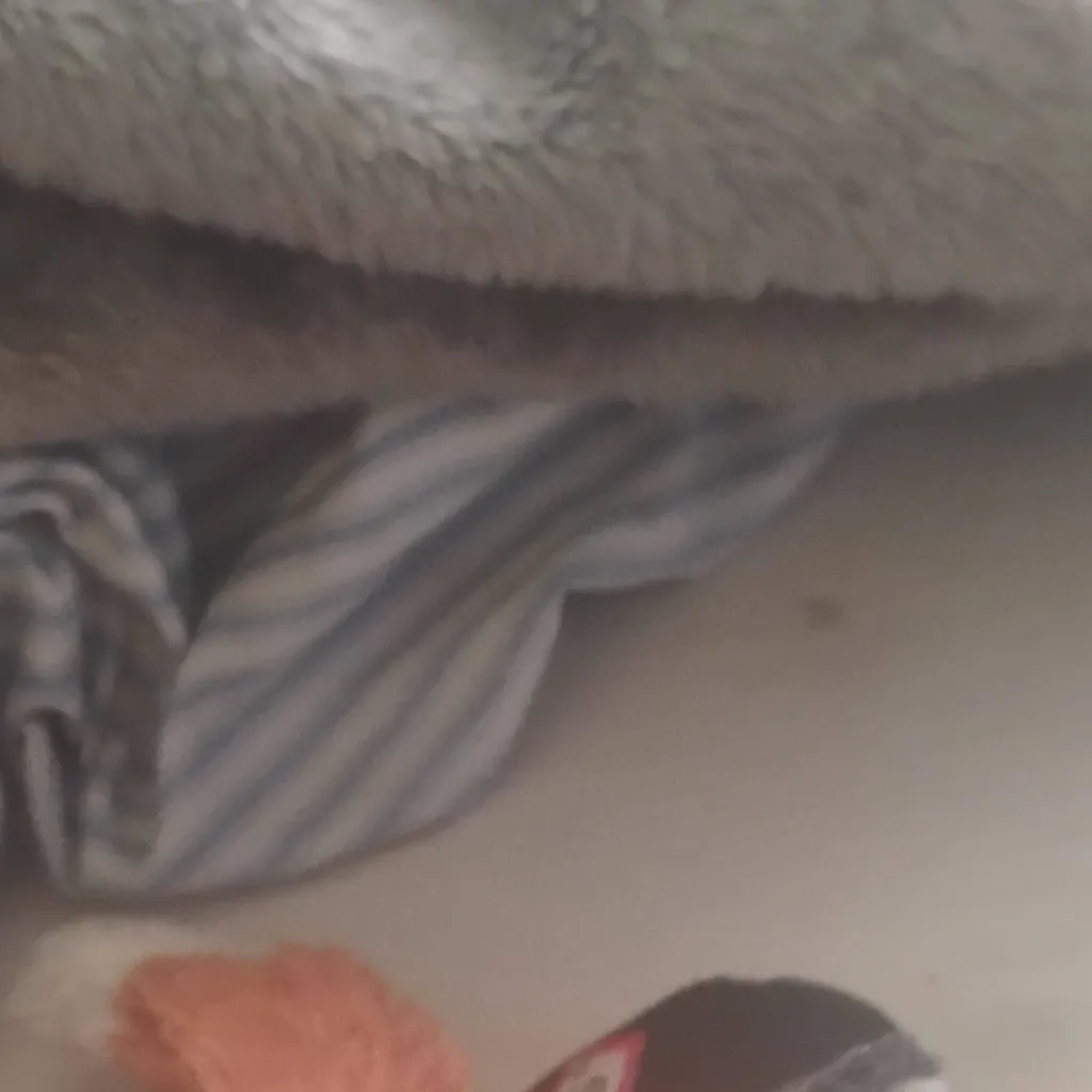 chat with ai character: baking with OCS