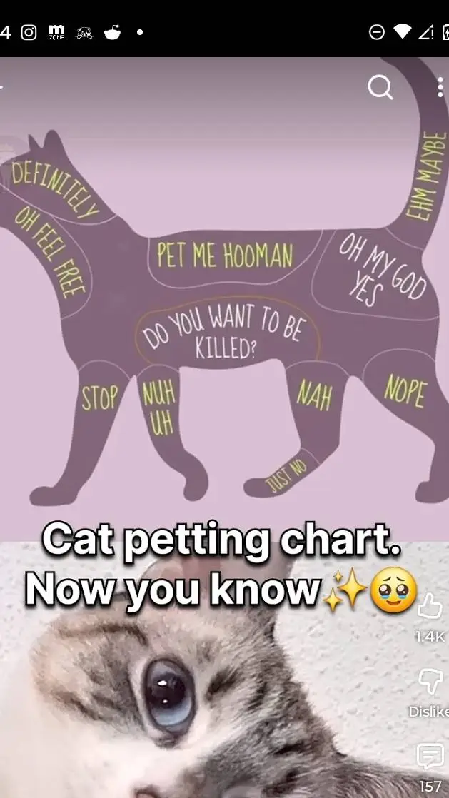 ai character: eve background