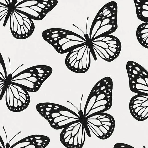 chat with ai character: Enhypen (Sunoo) 