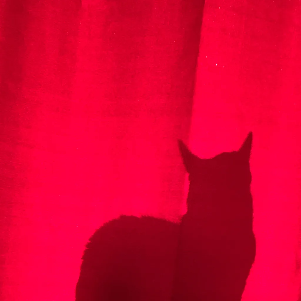 chat with ai character: Demon-Cat.