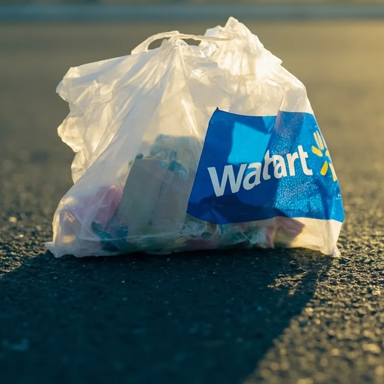 chat with ai character: Walmart bag
