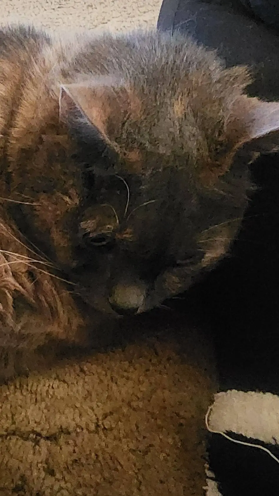 ai character: muzan background