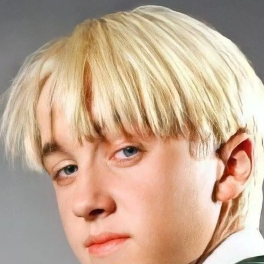 chat with ai character: Draco Malfoy ✨💚