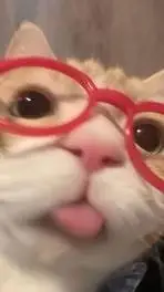 ai character: Kittykittycute background