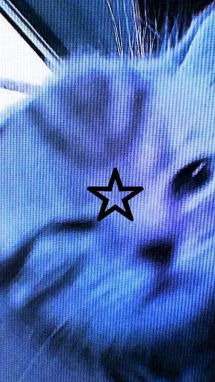 ai character: gato cantante  background