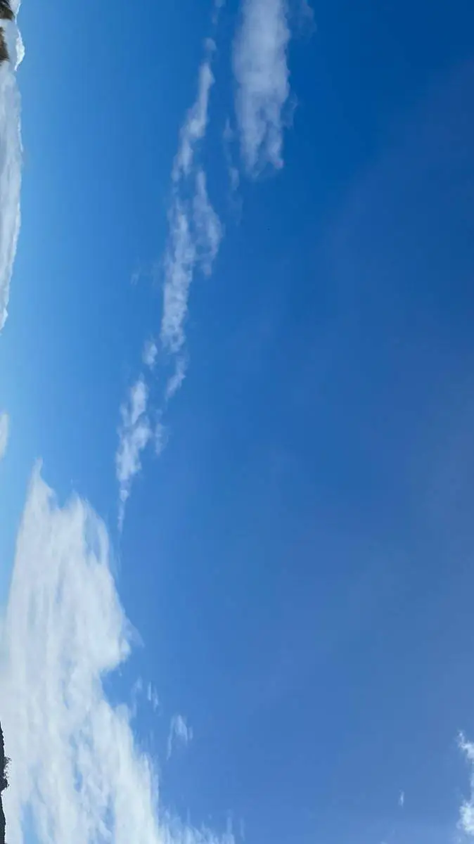 ai character: Kny san Valentin background