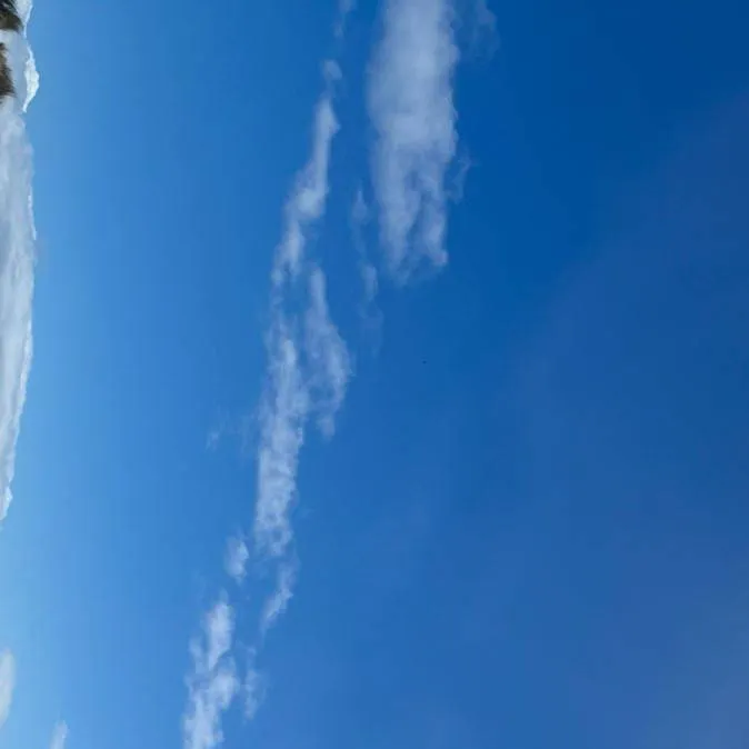 chat with ai character: Kny san Valentin