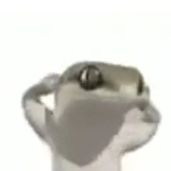 chat with ai character: Calango sexy XD🗿