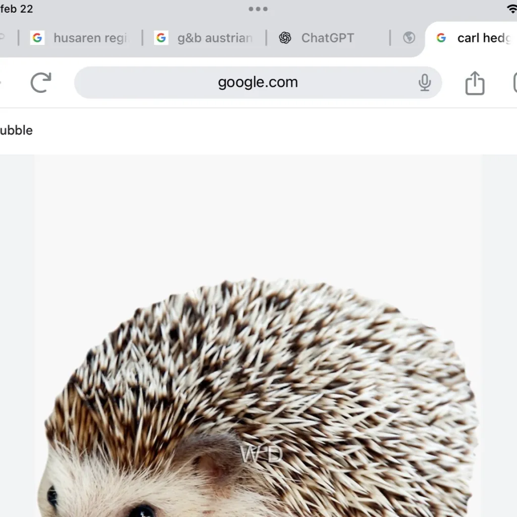 chat with ai character: Carl da hedgehog 