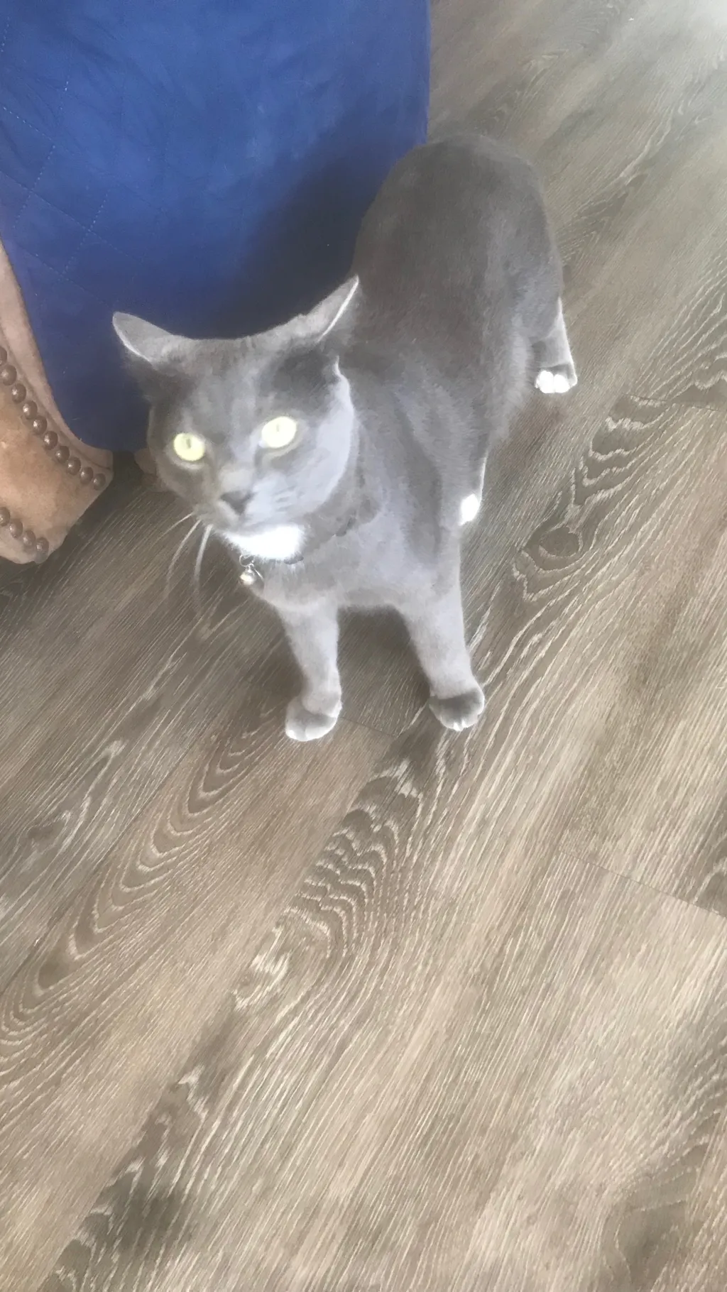 ai character: Arthur  background