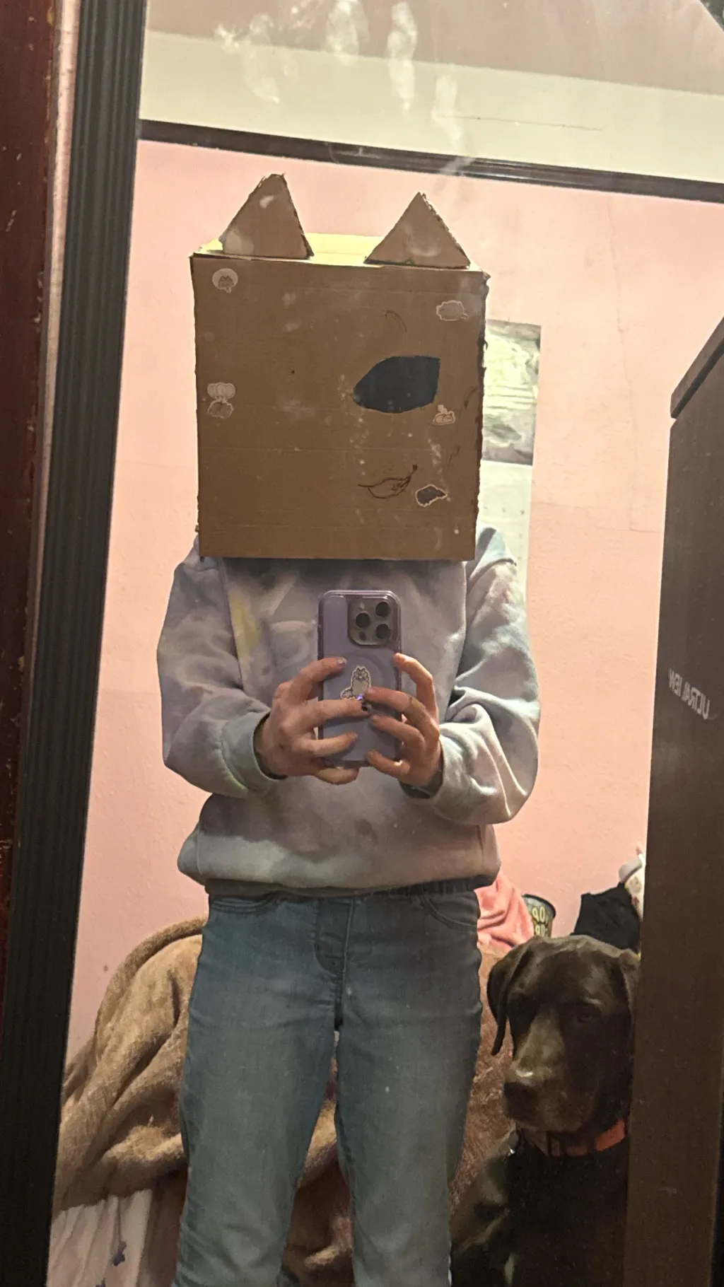 ai character: me!(cat box head) background
