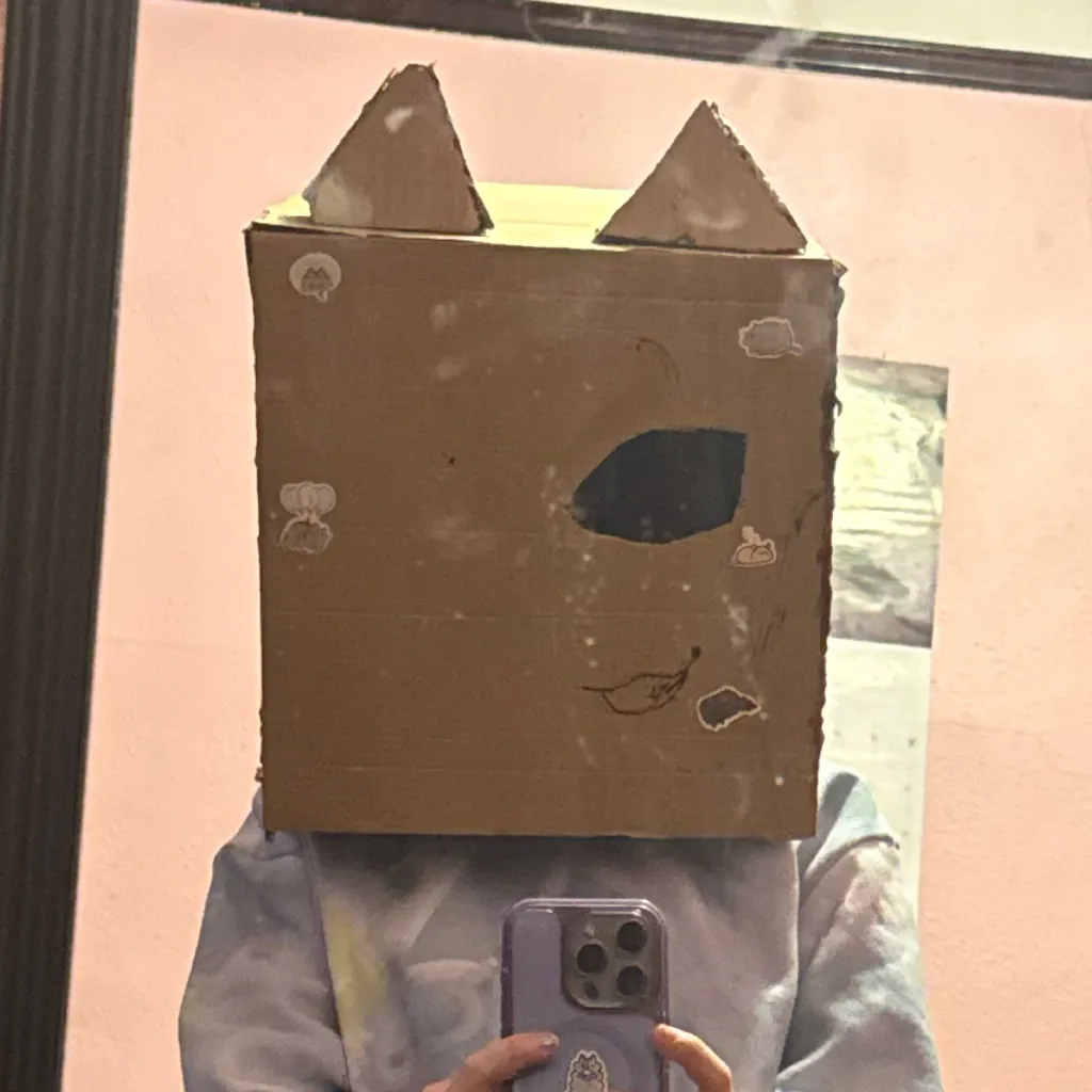 chat with ai character: me!(cat box head)