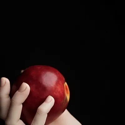 chat with ai character: Twilight 