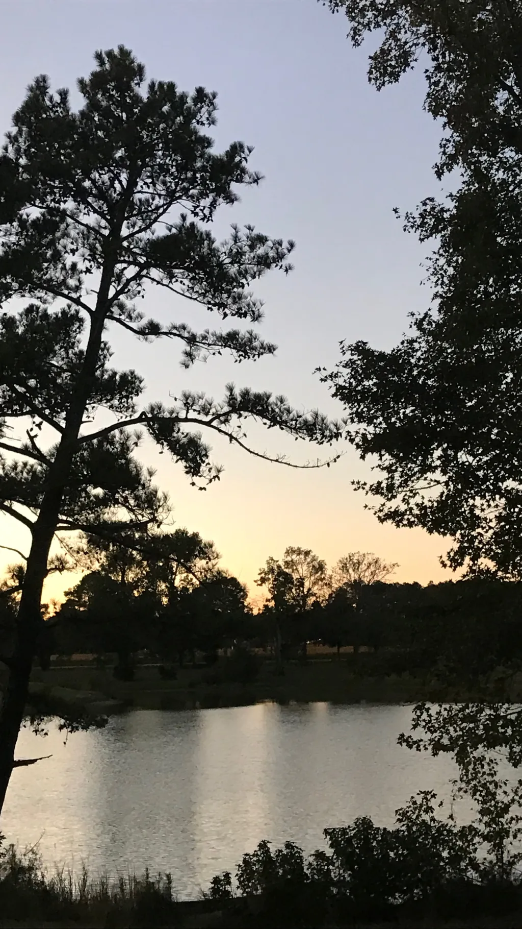 ai character: Hogwarts stuff background