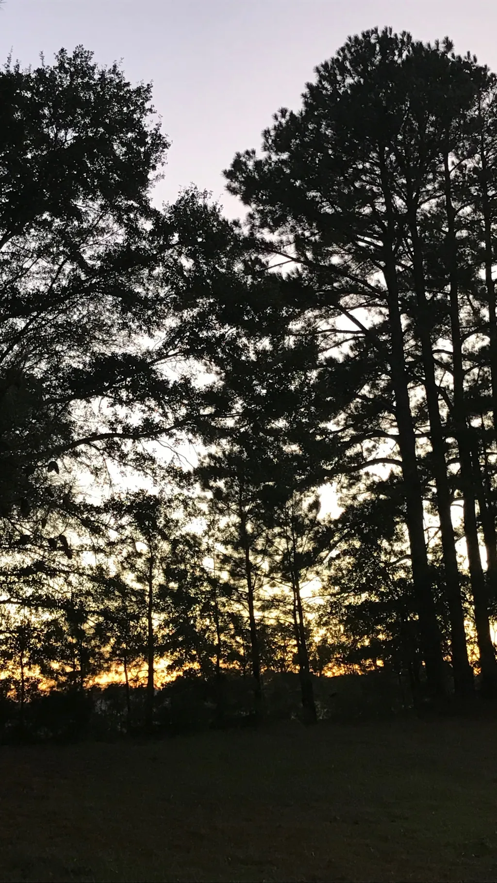 ai character: Hogwarts?? background