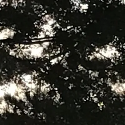 chat with ai character: Hogwarts??