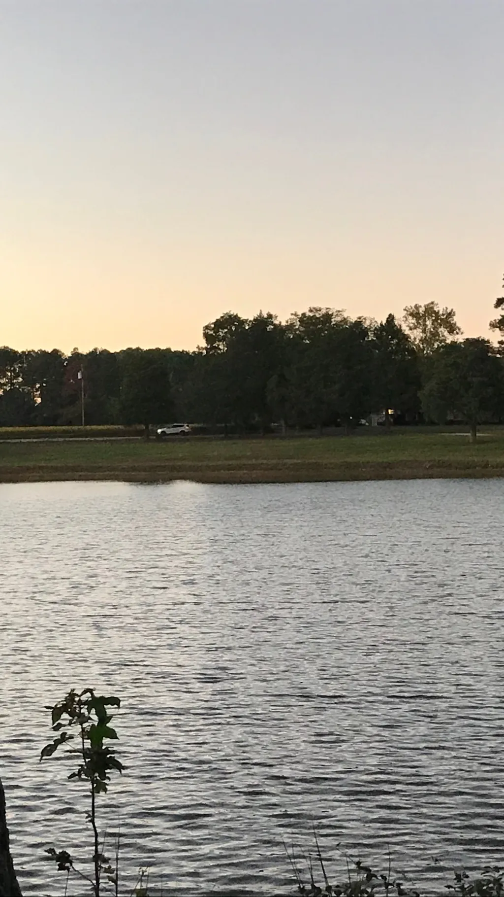 ai character: Hogwarts control background