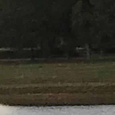 chat with ai character: Hogwarts control