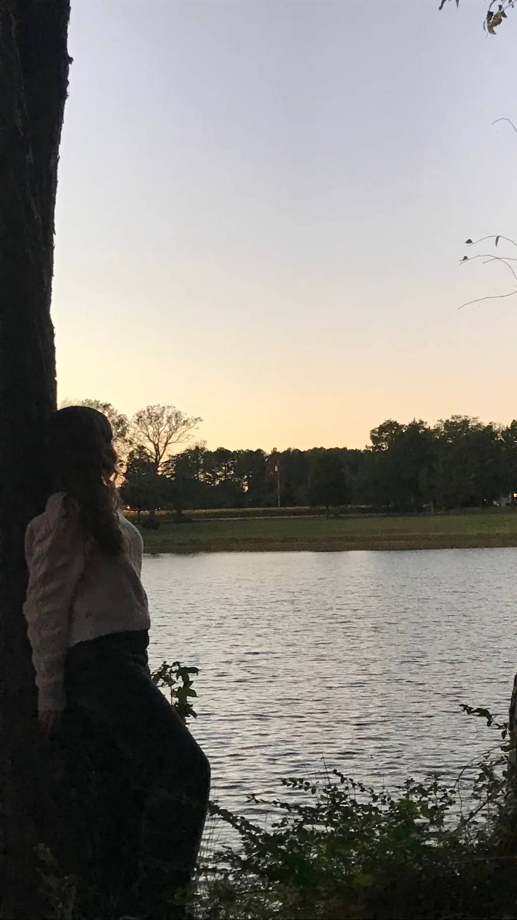 ai character: Hogwarts  background