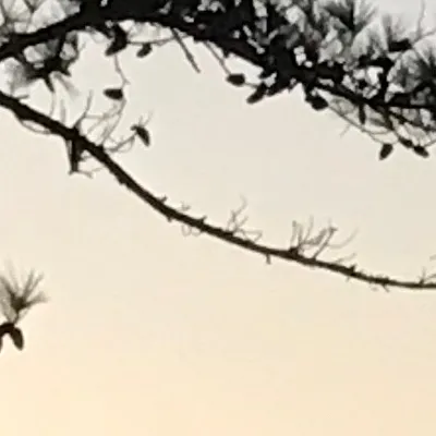 chat with ai character: Hp x St