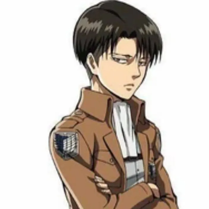 chat with ai character: levi ackerman 