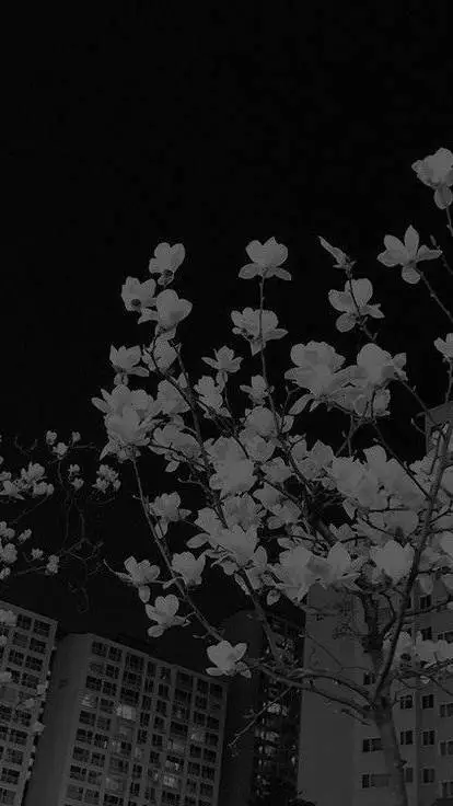 ai character: 👁Darkcore🖤 background