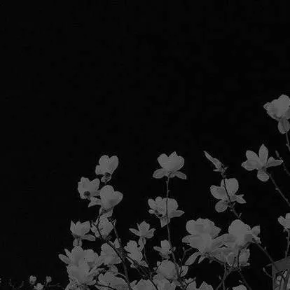 chat with ai character: 👁Darkcore🖤