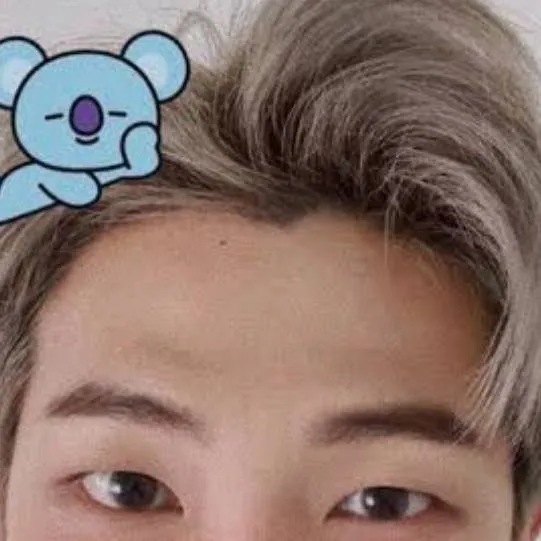 chat with ai character: Nangjoon Rm 🐨🐨