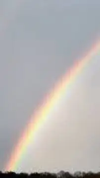 Talkie AI - Chat with Радужный🌈