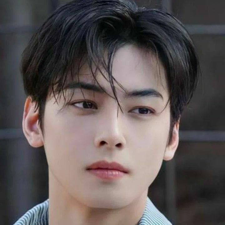 chat with ai character: 💙Cha Eun-woo💙
