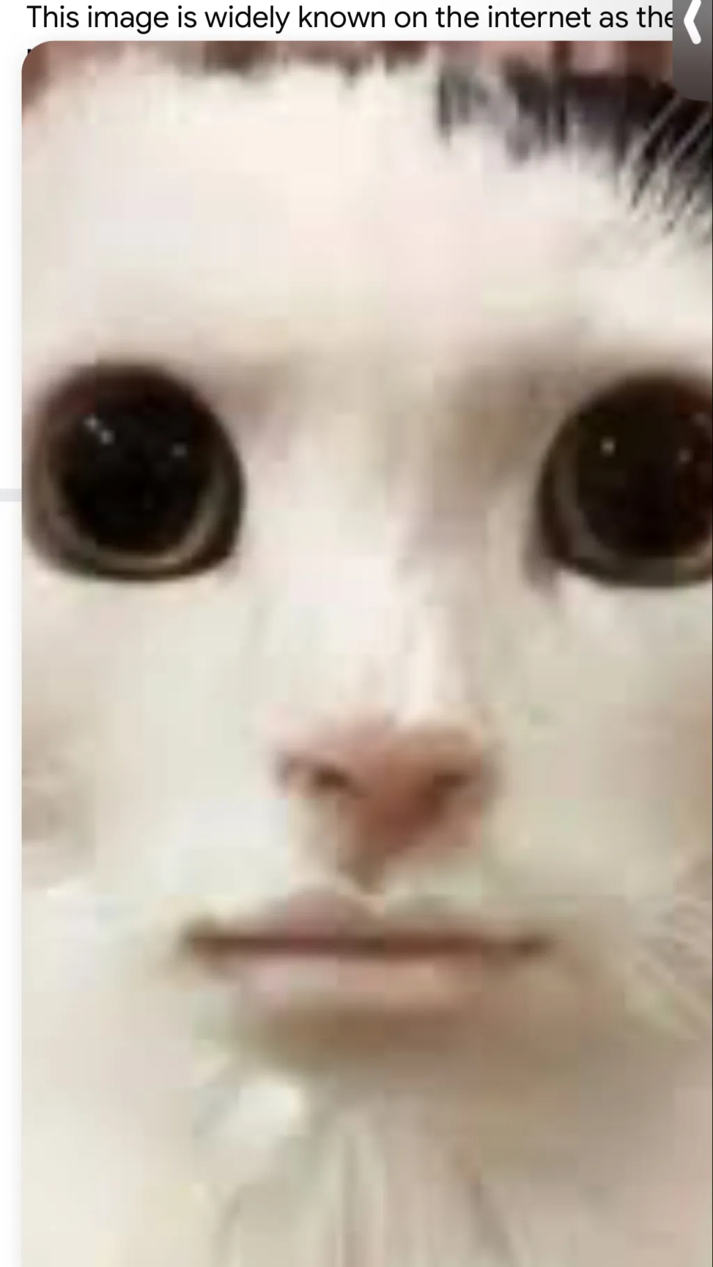 ai character: uwu cringe background