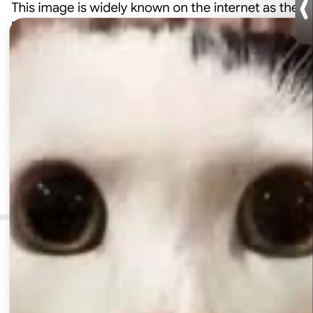 chat with ai character: uwu cringe