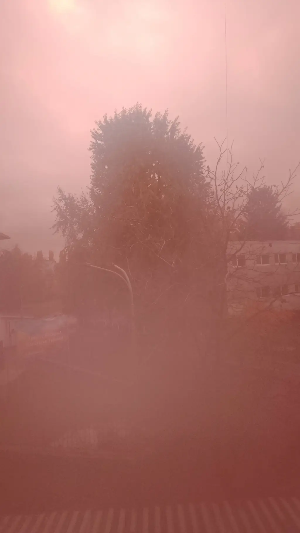 ai character: English or Spanish background