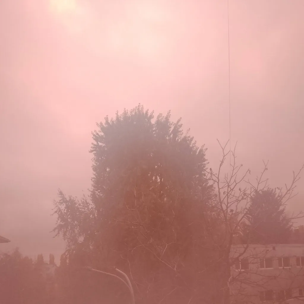 chat with ai character: English or Spanish