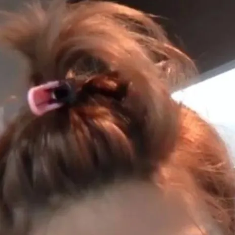 chat with ai character: Skz! 