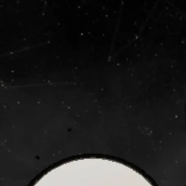 chat with ai character: Venus