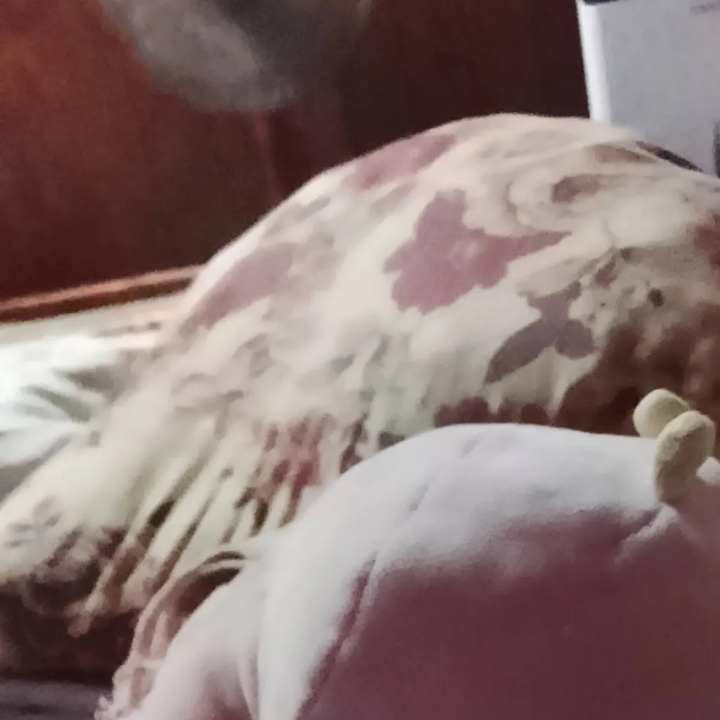 chat with ai character: Nyam 