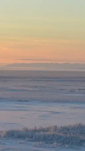 Talkie AI - Chat with Frost