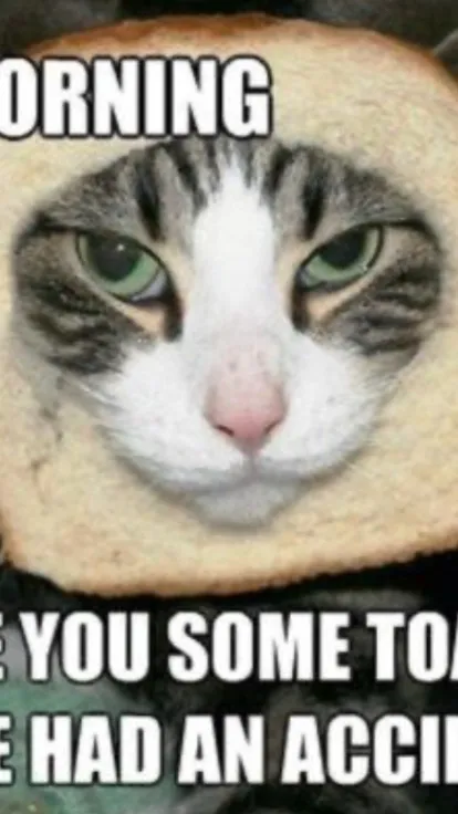 ai character: Toast Cat. background