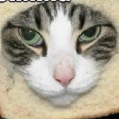 chat with ai character: Toast Cat.