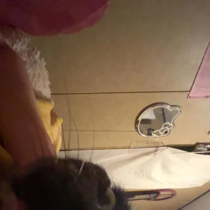 chat with ai character: CEO 