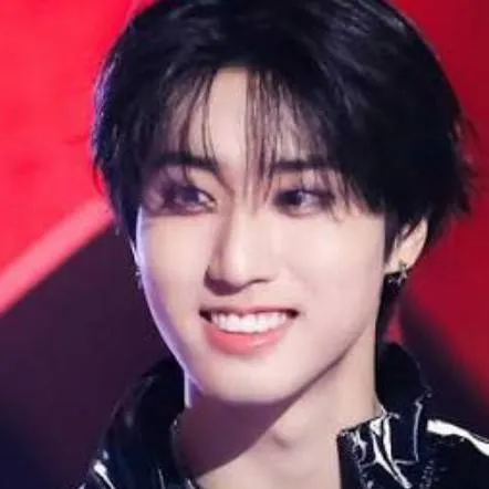 chat with ai character:  •°^`~han~`^°•