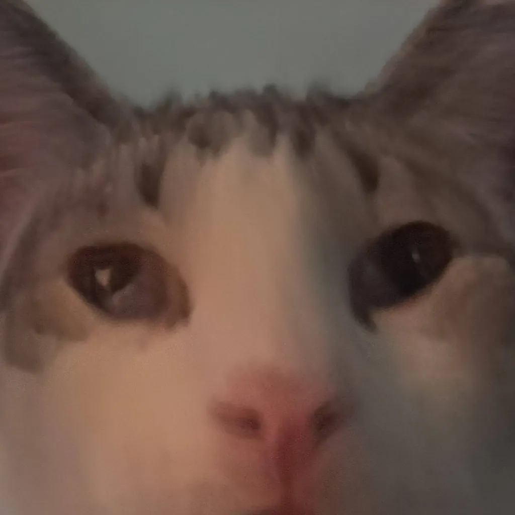 chat with ai character: opie