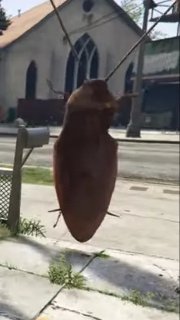 ai character: Cockroach 🪳  background