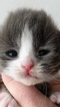 ai character: hide n seek horror background