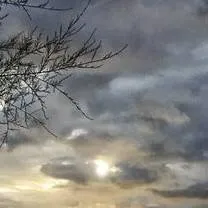 chat with ai character: ¿Solo amigos?