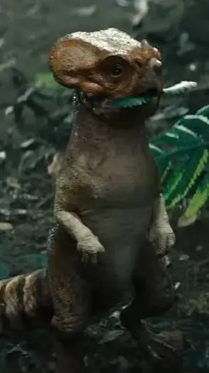 ai character: DOLORES background