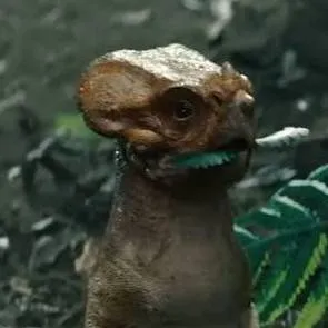 chat with ai character: DOLORES