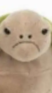 ai character: timmy the turtle background