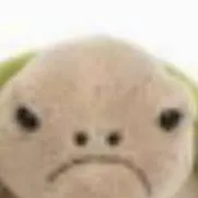 chat with ai character: timmy the turtle